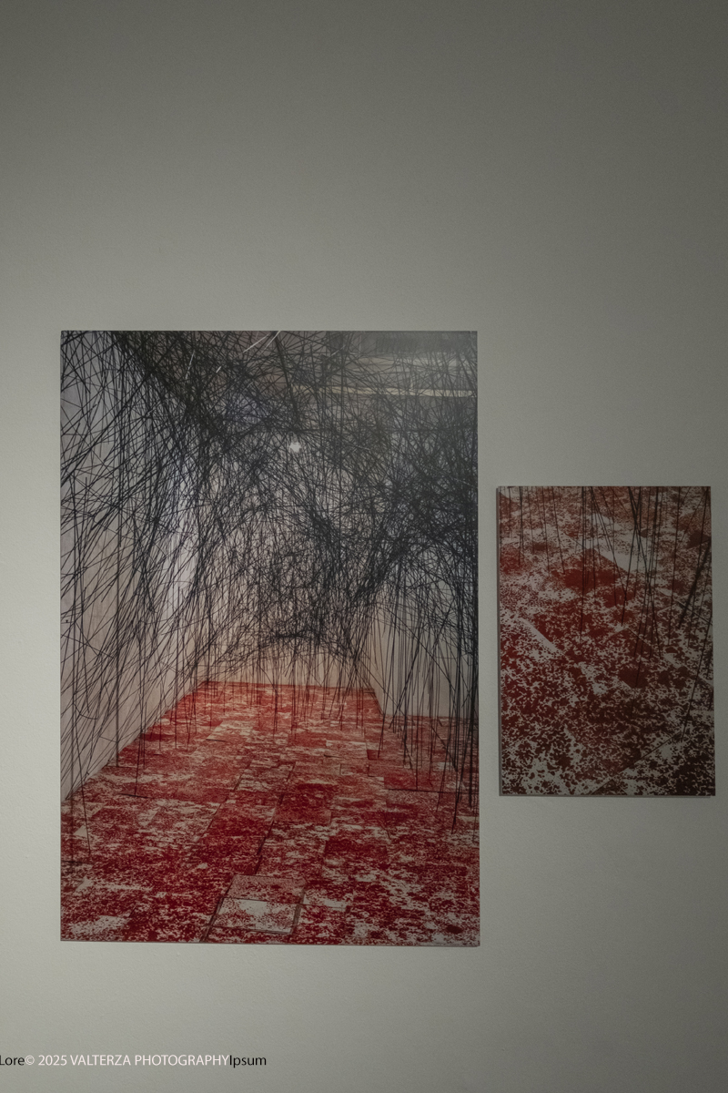 _DSF3730.jpg - 21/1072025. The Soul Trembles, la grande mostra monografica dedicata all’artista giapponese Chiharu Shiota arriva al MAO in anteprima nazionale - e per la prima volta in assoluto in un museo di arte asiatica. Nella foto opera somiglianze 1995