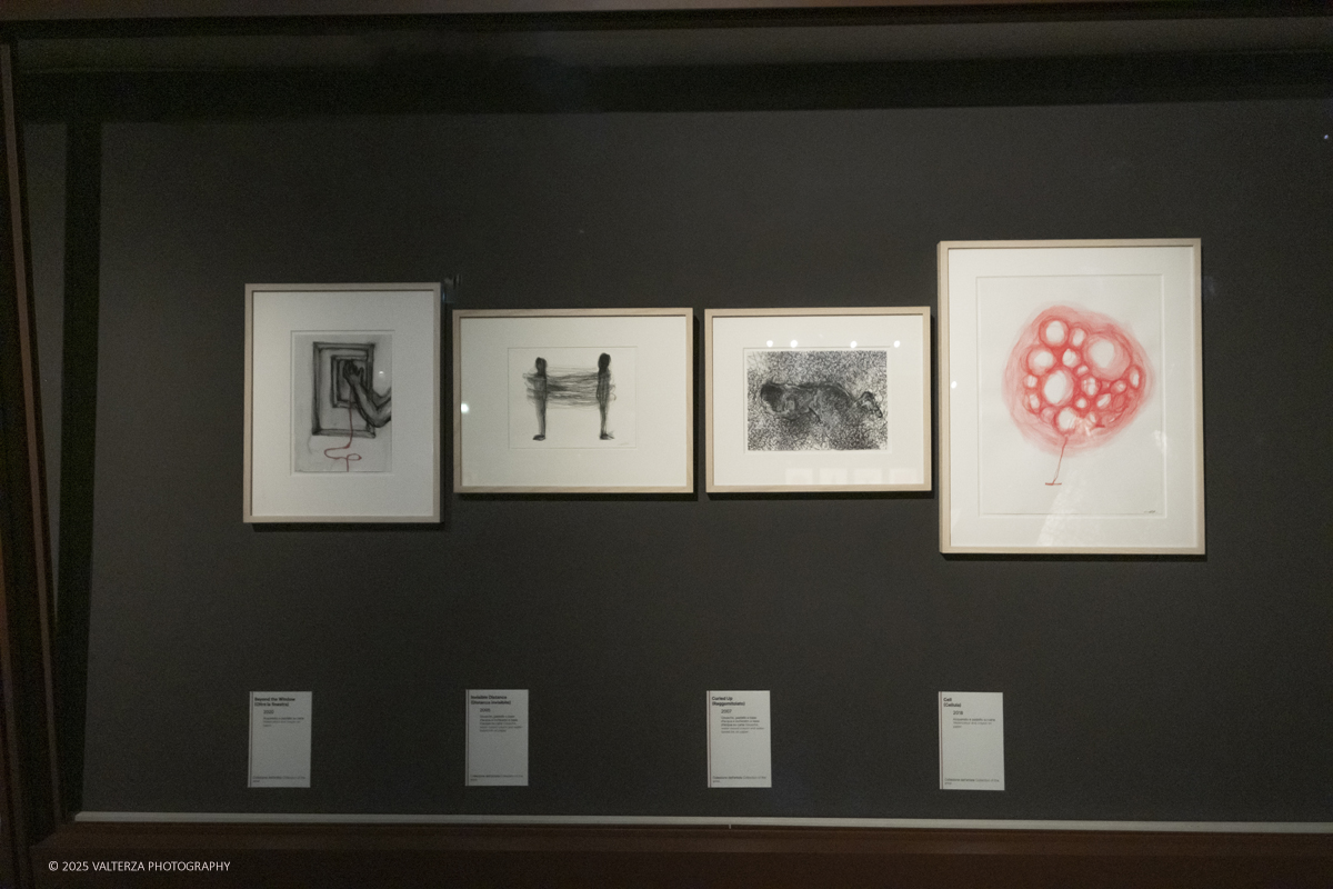 _DSF3834.jpg - 21/1072025. The Soul Trembles, la grande mostra monografica dedicata all’artista giapponese Chiharu Shiota arriva al MAO in anteprima nazionale - e per la prima volta in assoluto in un museo di arte asiatica. Nella foto parte dell'allestimento