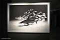 _DSF7930
