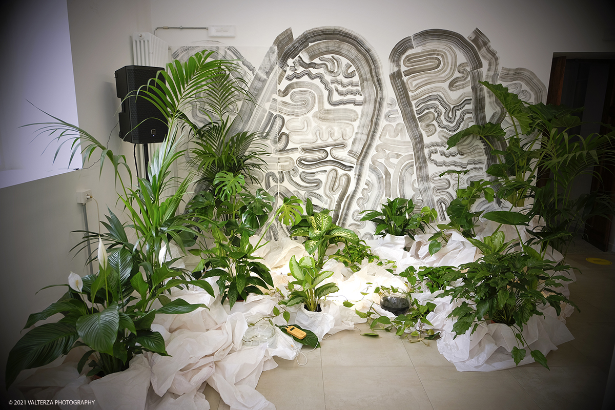 _DSF1253.jpg - 18/02/2021. Torino. Dal 18 Febbraio al 26 Marzo Il circolo del design di Torino ospita 7 progetti di 15 designer torinesi tra i 25 ed i 35 anni. Nella foto creazione di Selva Creative Studio fondato da Andrea Buzzi e Chiara Manchovas