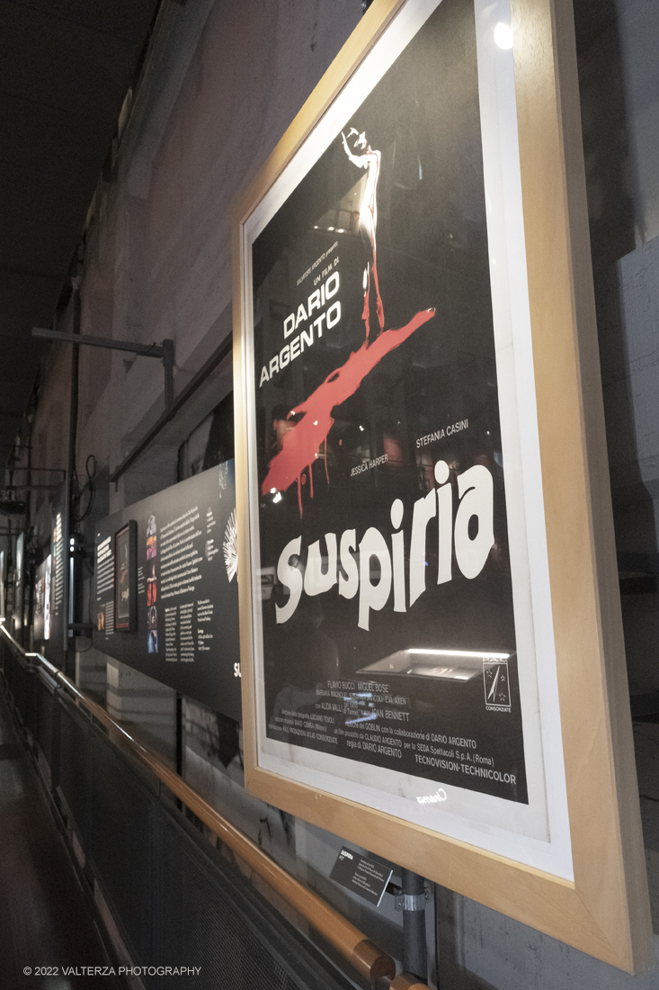 _DSF1142.jpg - 05/04/2022. Torino. Presentata la prima mostra dedicata a un grande maestro del cinema: il regista, sceneggiatore e produttore Dario Argento (Roma, 1940). Nella foto materiale del film Suspiria 1977