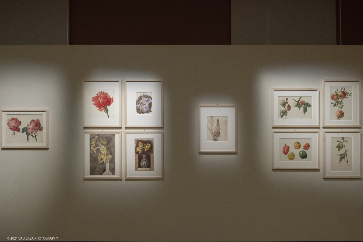 _DSF2240.jpg - 01/10/2029. Torino. L'accademia Albertina e Torino tra eccletismo e Liberty. Disegnare la cittÃ  non Ã¨ una semplice mostra ma un viaggio nella storia dellâ€™arte e dellâ€™architettura torinese che  vuole ritrovare nel passato le sinergie e le ispirazioni utili al nostro .futuro. Nella foto Acquarelli e disegni di Giulio Casanova datati tra il 1898 ed il 1905
