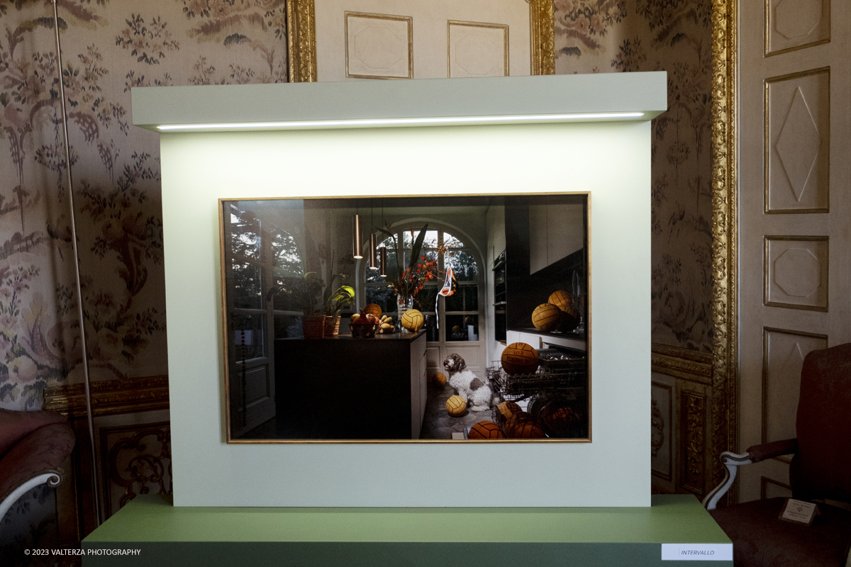 _DSF0709.jpg - 19/04/2023. Torino. DIVAS â€“ Dog Portraits Ã¨ una mostra di arte contemporanea che prende vita dal progetto fotografico â€œCave Canemâ€� con lâ€™intento di svelare, attraverso le immagini, la connessione fra il proprietario e il suo amico a quattro zampe, nel contesto della loro abitazione. Nella foto l'immagine di Franceso Pergolesi intitolata Intervallo.