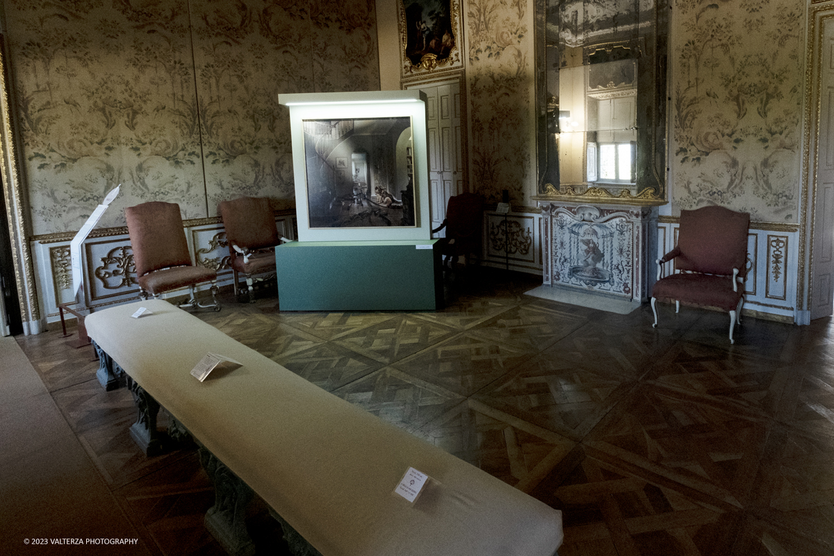 _DSF0723.jpg - 19/04/2023. Torino. DIVAS â€“ Dog Portraits Ã¨ una mostra di arte contemporanea che prende vita dal progetto fotografico â€œCave Canemâ€� con lâ€™intento di svelare, attraverso le immagini, la connessione fra il proprietario e il suo amico a quattro zampe, nel contesto della loro abitazione. Nella foto una delle opere del fotografo Francesco Pergolesi in mostra nel contesto degli interni della villa.