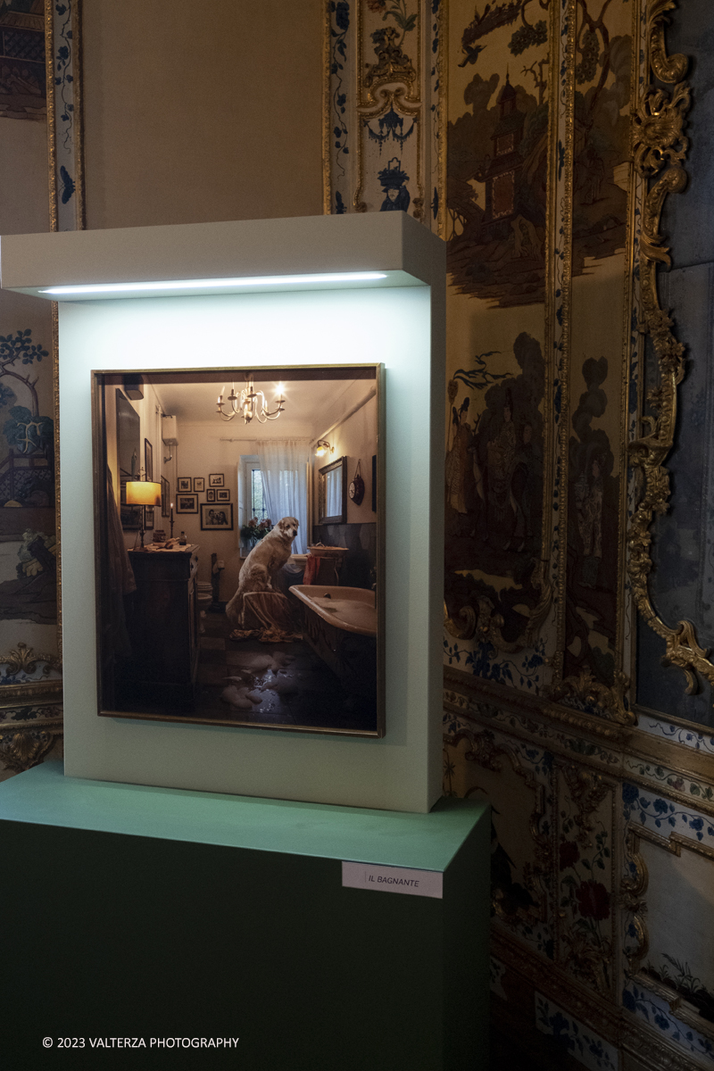 _DSF0748.jpg - 19/04/2023. Torino. DIVAS â€“ Dog Portraits Ã¨ una mostra di arte contemporanea che prende vita dal progetto fotografico â€œCave Canemâ€� con lâ€™intento di svelare, attraverso le immagini, la connessione fra il proprietario e il suo amico a quattro zampe, nel contesto della loro abitazione. Nella foto l'immagine di Francesco Pergolesi intitolata Il Bagnante