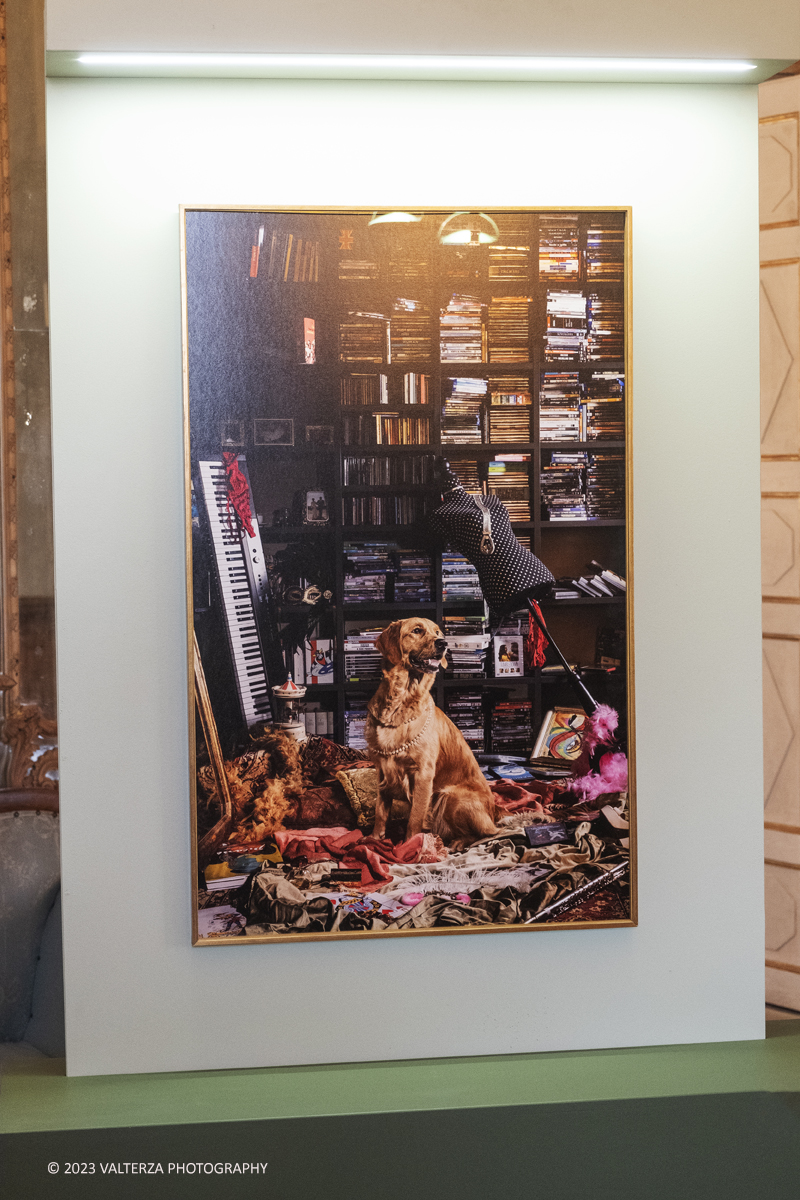 _DSF2591.jpg - 19/04/2023. Torino. DIVAS â€“ Dog Portraits Ã¨ una mostra di arte contemporanea che prende vita dal progetto fotografico â€œCave Canemâ€� con lâ€™intento di svelare, attraverso le immagini, la connessione fra il proprietario e il suo amico a quattro zampe, nel contesto della loro abitazione. Nella foto l'opera m.lle Lumiere