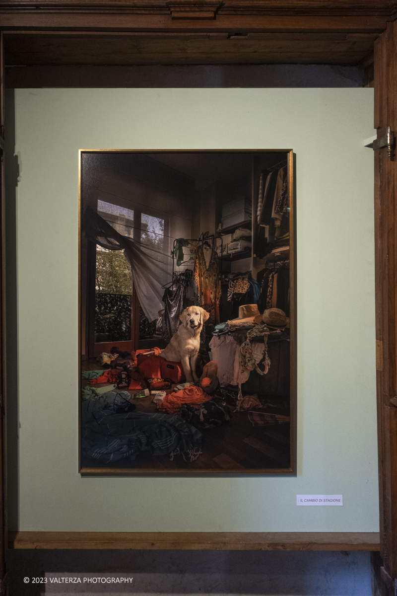 _DSF2613.jpg - 19/04/2023. Torino. DIVAS â€“ Dog Portraits Ã¨ una mostra di arte contemporanea che prende vita dal progetto fotografico â€œCave Canemâ€� con lâ€™intento di svelare, attraverso le immagini, la connessione fra il proprietario e il suo amico a quattro zampe, nel contesto della loro abitazione. Nella foto l'opera il cambio di stagione.