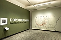 _DSF7849
