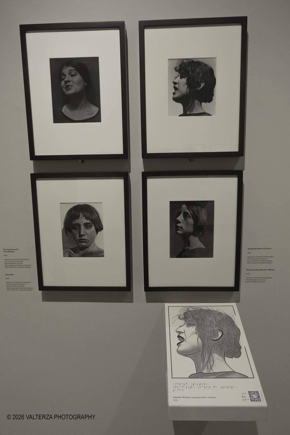 DSCF0534.jpg - 11/02/2026. Torino. CAMERA | EDWARD WESTON. La materia delle forme. Con una selezione di 171 immagini, molte delle quali vintage, il percorso espositivo â€“ curato da SÃ©rgio Mah â€“ si configura come unâ€™ampia antologia che ripercorre tutte le fasi della produzione di Edward Weston (Illinois, 1886 - California, 1958)  Nella foto parte dell'allestimento della mostra