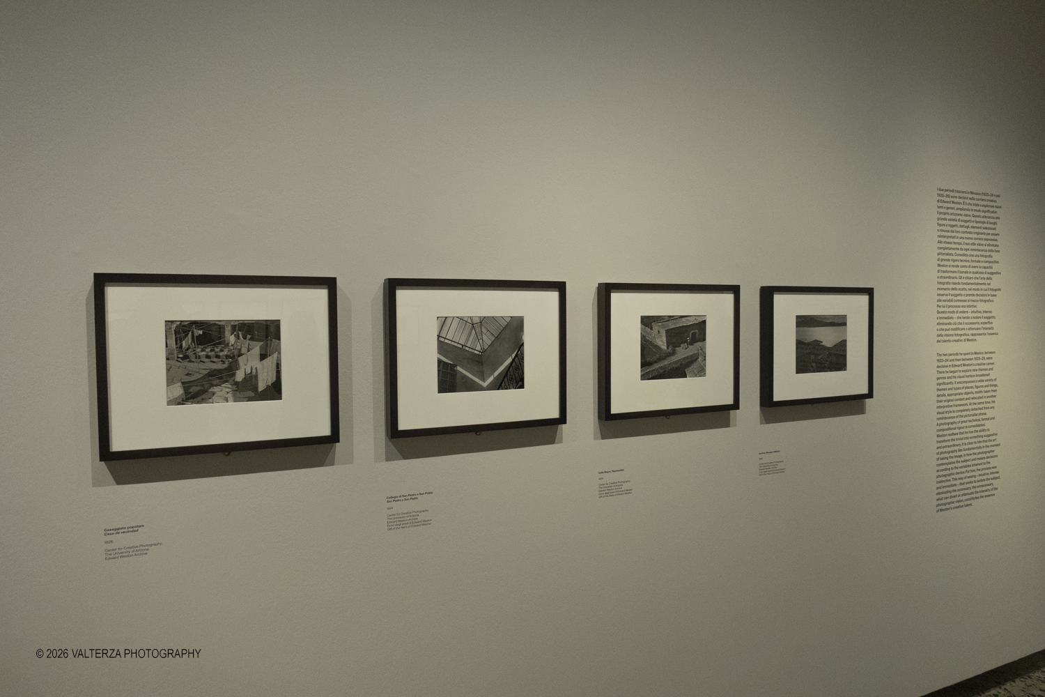DSCF0535.jpg - 11/02/2026. Torino. CAMERA | EDWARD WESTON. La materia delle forme. Con una selezione di 171 immagini, molte delle quali vintage, il percorso espositivo â€“ curato da SÃ©rgio Mah â€“ si configura come unâ€™ampia antologia che ripercorre tutte le fasi della produzione di Edward Weston (Illinois, 1886 - California, 1958)  Nella foto parte dell'allestimento della mostra