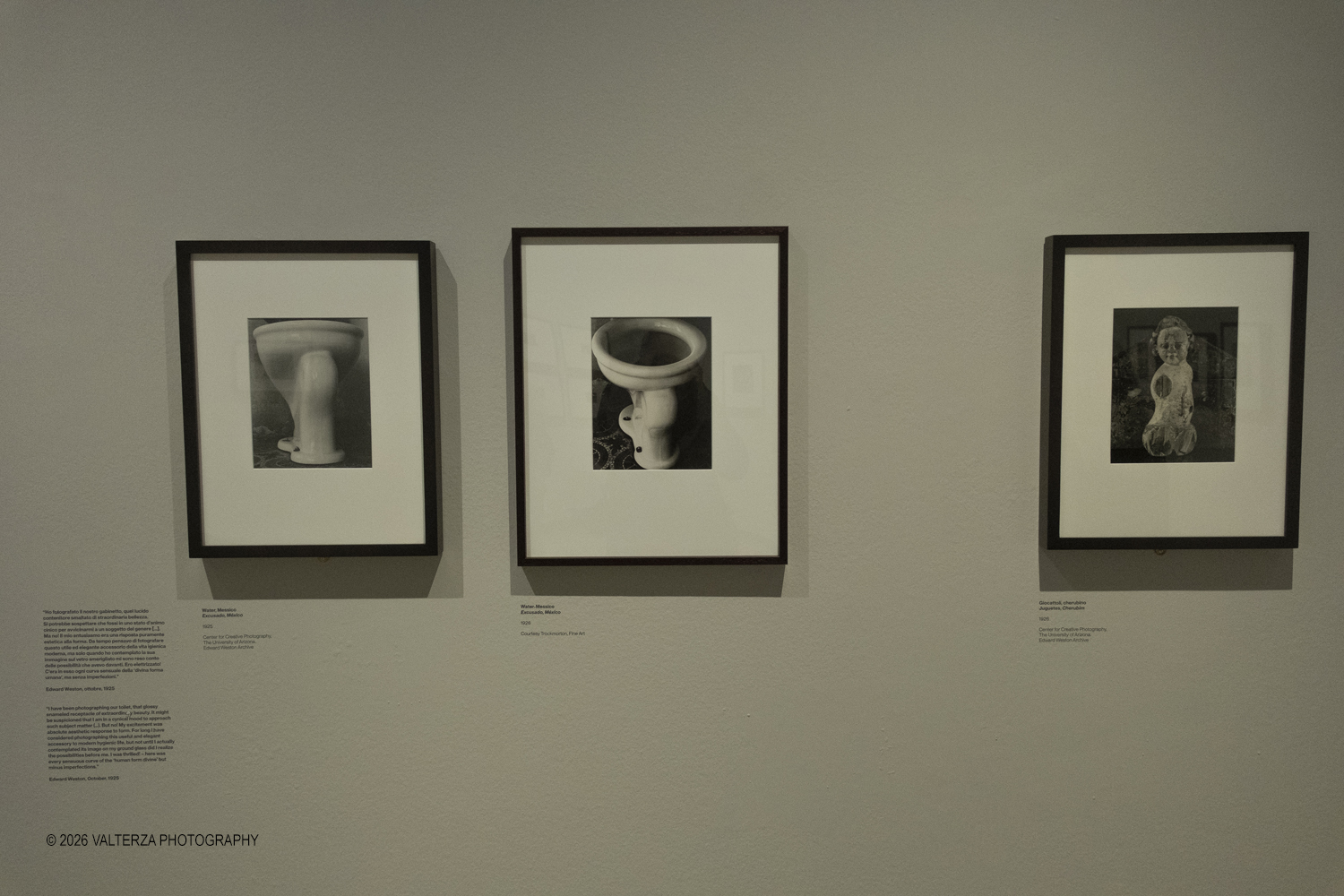 DSCF0552.jpg - 11/02/2026. Torino. CAMERA | EDWARD WESTON. La materia delle forme. Con una selezione di 171 immagini, molte delle quali vintage, il percorso espositivo â€“ curato da SÃ©rgio Mah â€“ si configura come unâ€™ampia antologia che ripercorre tutte le fasi della produzione di Edward Weston (Illinois, 1886 - California, 1958)  Nella foto parte dell'allestimento della mostra