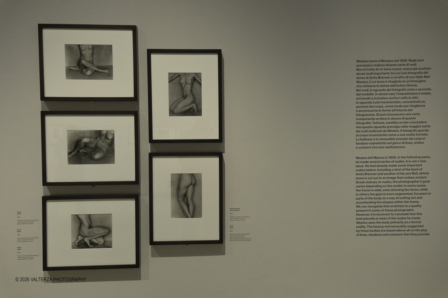 DSCF0554.jpg - 11/02/2026. Torino. CAMERA | EDWARD WESTON. La materia delle forme. Con una selezione di 171 immagini, molte delle quali vintage, il percorso espositivo â€“ curato da SÃ©rgio Mah â€“ si configura come unâ€™ampia antologia che ripercorre tutte le fasi della produzione di Edward Weston (Illinois, 1886 - California, 1958)  Nella foto parte dell'allestimento della mostra