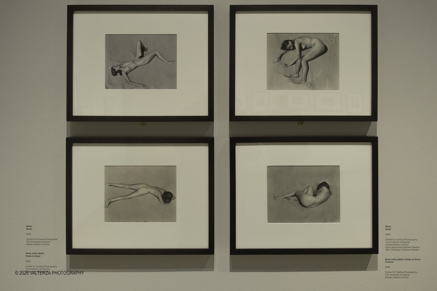 DSCF0563.jpg - 11/02/2026. Torino. CAMERA | EDWARD WESTON. La materia delle forme. Con una selezione di 171 immagini, molte delle quali vintage, il percorso espositivo â€“ curato da SÃ©rgio Mah â€“ si configura come unâ€™ampia antologia che ripercorre tutte le fasi della produzione di Edward Weston (Illinois, 1886 - California, 1958)  Nella foto studio di nudi, il fotografo guarda il corpo innanzitutto come una realtÃ  formale