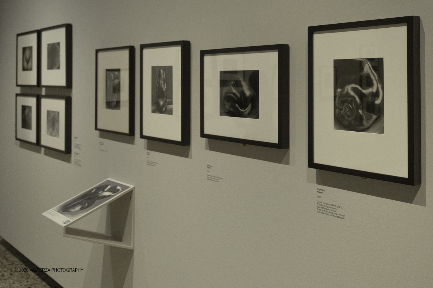 DSCF0592.jpg - 11/02/2026. Torino. CAMERA | EDWARD WESTON. La materia delle forme. Con una selezione di 171 immagini, molte delle quali vintage, il percorso espositivo â€“ curato da SÃ©rgio Mah â€“ si configura come unâ€™ampia antologia che ripercorre tutte le fasi della produzione di Edward Weston (Illinois, 1886 - California, 1958)  Nella foto parte dell'allestimento della mostra