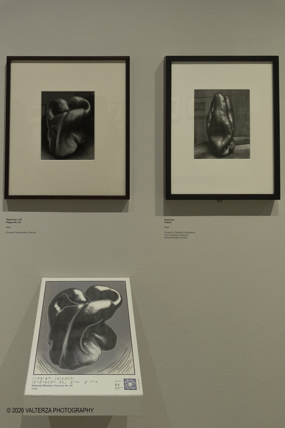 DSCF0594.jpg - 11/02/2026. Torino. CAMERA | EDWARD WESTON. La materia delle forme. Con una selezione di 171 immagini, molte delle quali vintage, il percorso espositivo â€“ curato da SÃ©rgio Mah â€“ si configura come unâ€™ampia antologia che ripercorre tutte le fasi della produzione di Edward Weston (Illinois, 1886 - California, 1958)  Nella foto studio della forme di peperoni 1929/1930