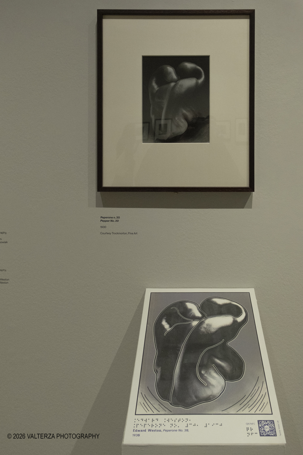 DSCF0599.jpg - 11/02/2026. Torino. CAMERA | EDWARD WESTON. La materia delle forme. Con una selezione di 171 immagini, molte delle quali vintage, il percorso espositivo â€“ curato da SÃ©rgio Mah â€“ si configura come unâ€™ampia antologia che ripercorre tutte le fasi della produzione di Edward Weston (Illinois, 1886 - California, 1958)  Nella foto studio della forme di peperoni 1929/1930