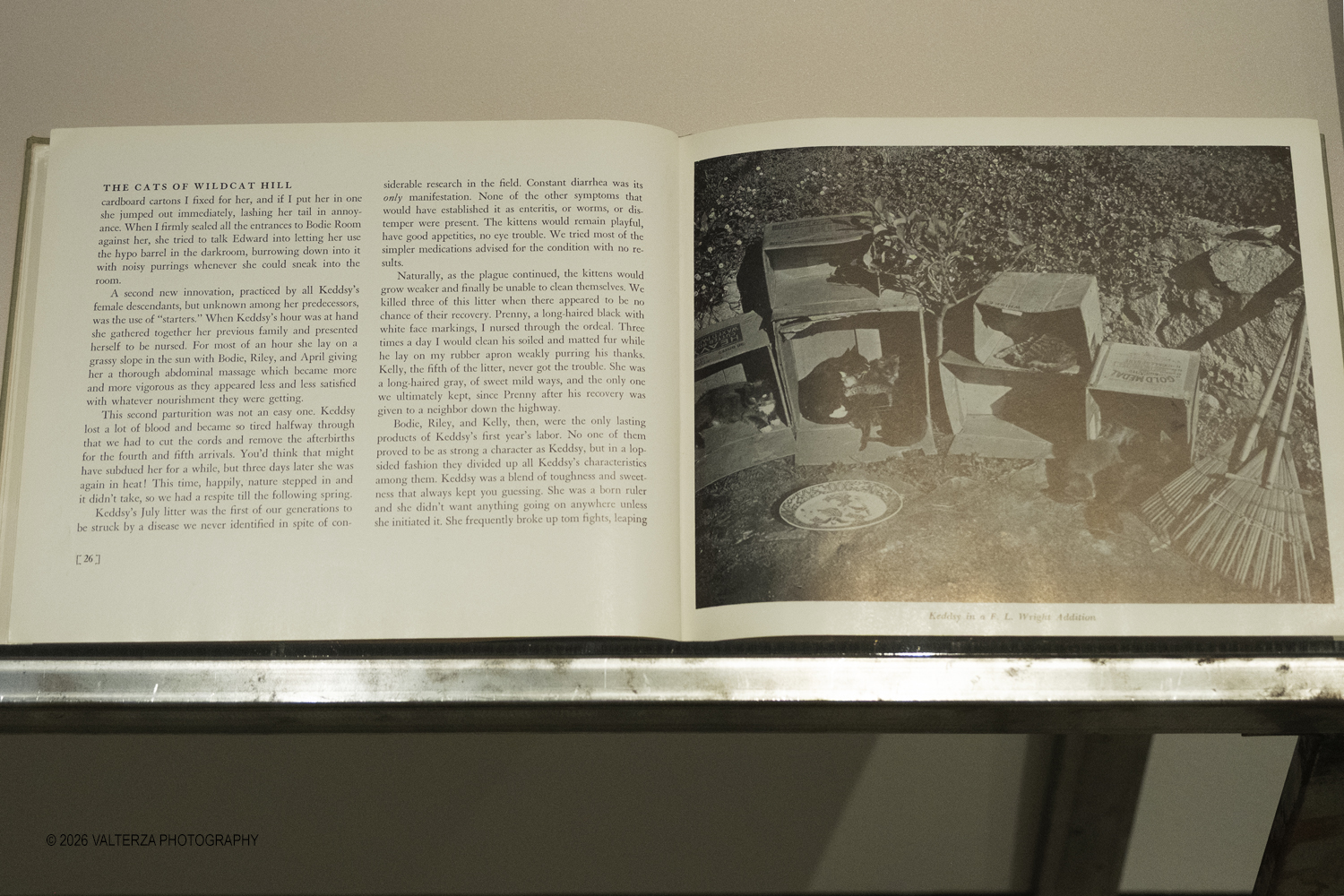 DSCF0670.jpg - 11/02/2026. Torino. CAMERA | EDWARD WESTON. La materia delle forme. Con una selezione di 171 immagini, molte delle quali vintage, il percorso espositivo â€“ curato da SÃ©rgio Mah â€“ si configura come unâ€™ampia antologia che ripercorre tutte le fasi della produzione di Edward Weston (Illinois, 1886 - California, 1958)  Nella foto bibliografia esposta in bacheca