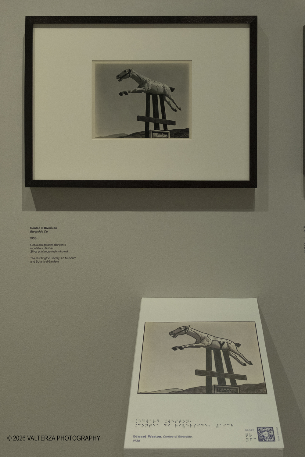 DSCF0694.jpg - 11/02/2026. Torino. CAMERA | EDWARD WESTON. La materia delle forme. Con una selezione di 171 immagini, molte delle quali vintage, il percorso espositivo â€“ curato da SÃ©rgio Mah â€“ si configura come unâ€™ampia antologia che ripercorre tutte le fasi della produzione di Edward Weston (Illinois, 1886 - California, 1958)  Nella foto Contea di Riverside Riverside co. 1938