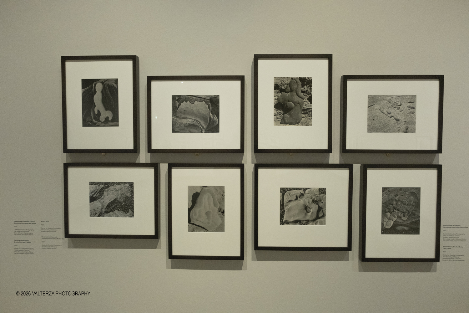 DSCF0864.jpg - 11/02/2026. Torino. CAMERA | EDWARD WESTON. La materia delle forme. Con una selezione di 171 immagini, molte delle quali vintage, il percorso espositivo â€“ curato da SÃ©rgio Mah â€“ si configura come unâ€™ampia antologia che ripercorre tutte le fasi della produzione di Edward Weston (Illinois, 1886 - California, 1958)  Nella foto parte dell'allestimento con opere di Ansel Adams