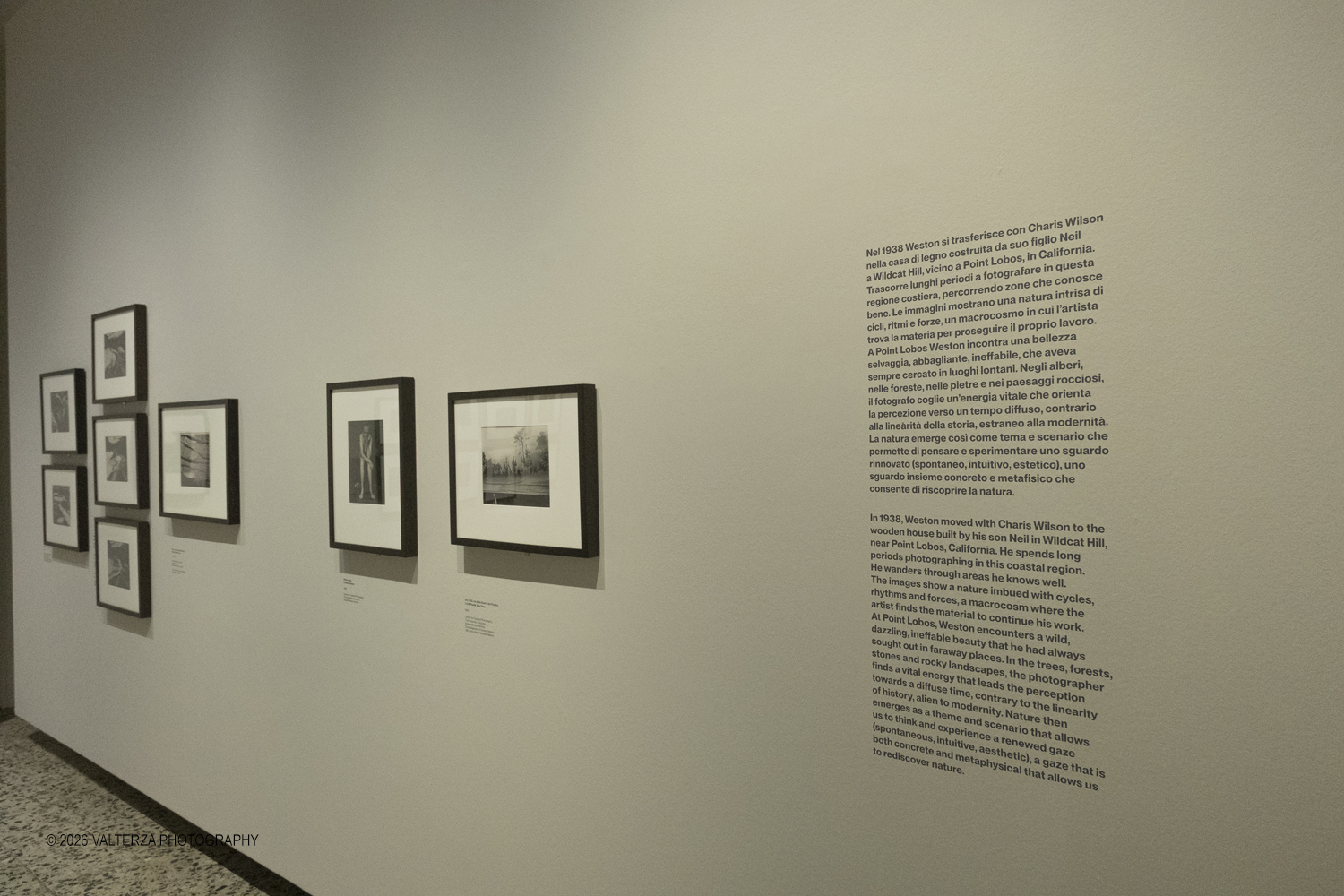 DSCF0866.jpg - 11/02/2026. Torino. CAMERA | EDWARD WESTON. La materia delle forme. Con una selezione di 171 immagini, molte delle quali vintage, il percorso espositivo â€“ curato da SÃ©rgio Mah â€“ si configura come unâ€™ampia antologia che ripercorre tutte le fasi della produzione di Edward Weston (Illinois, 1886 - California, 1958)  Nella foto parte dell'allestimento