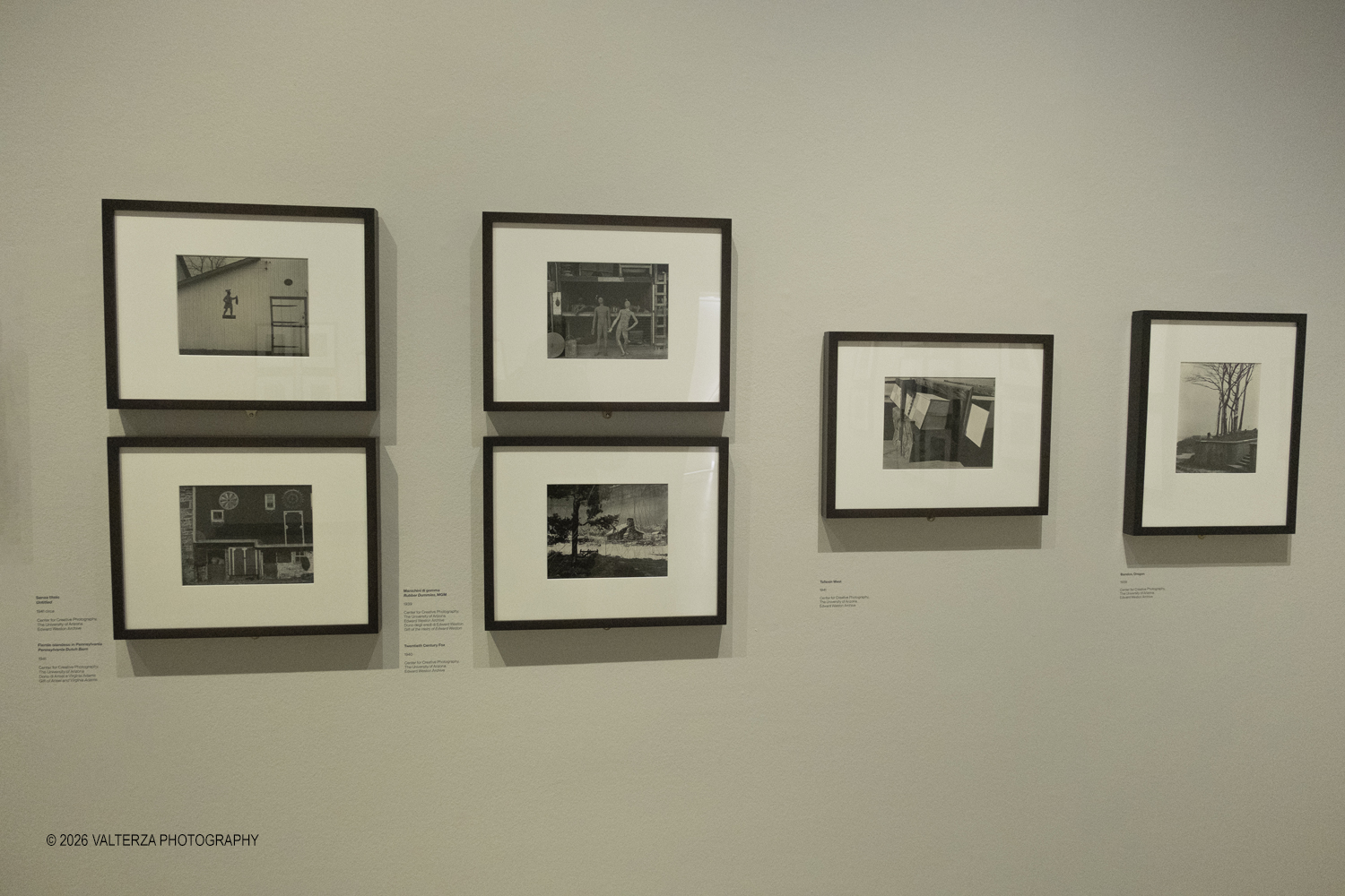 DSCF0868.jpg - 11/02/2026. Torino. CAMERA | EDWARD WESTON. La materia delle forme. Con una selezione di 171 immagini, molte delle quali vintage, il percorso espositivo â€“ curato da SÃ©rgio Mah â€“ si configura come unâ€™ampia antologia che ripercorre tutte le fasi della produzione di Edward Weston (Illinois, 1886 - California, 1958)  Nella foto parte dell'allestimento