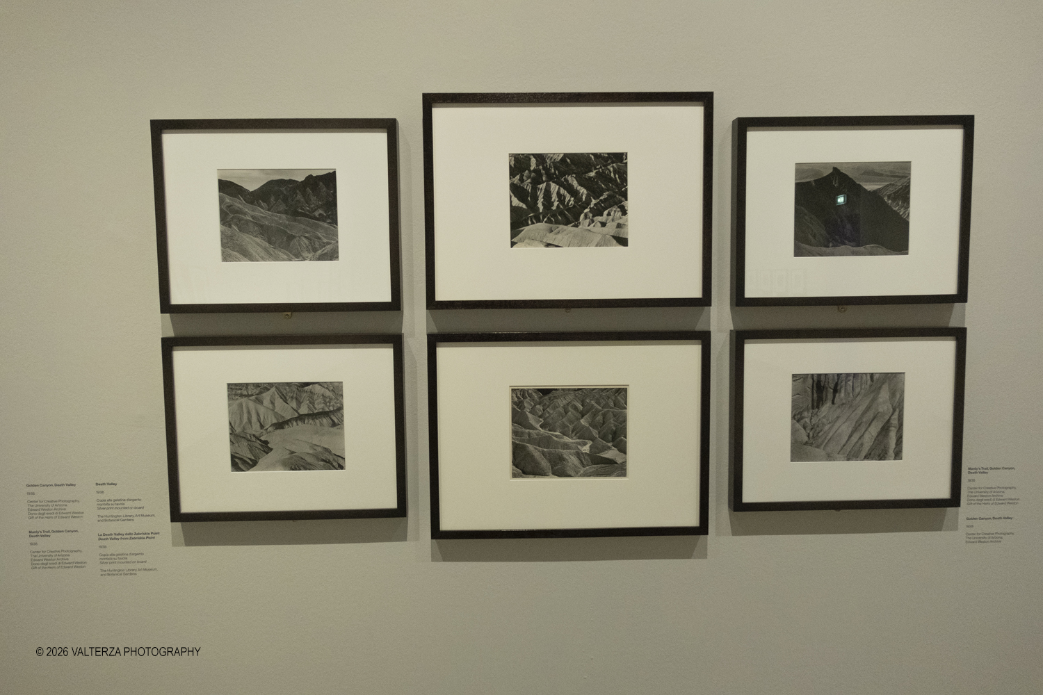 DSCF0873.jpg - 11/02/2026. Torino. CAMERA | EDWARD WESTON. La materia delle forme. Con una selezione di 171 immagini, molte delle quali vintage, il percorso espositivo â€“ curato da SÃ©rgio Mah â€“ si configura come unâ€™ampia antologia che ripercorre tutte le fasi della produzione di Edward Weston (Illinois, 1886 - California, 1958)  Nella foto immagini di nature realizzate della Death Valley alla fine degli anni 30