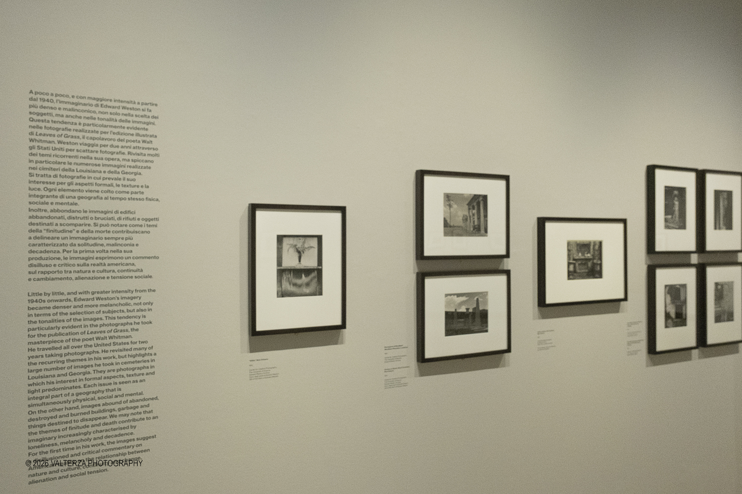 DSCF0888.jpg - 11/02/2026. Torino. CAMERA | EDWARD WESTON. La materia delle forme. Con una selezione di 171 immagini, molte delle quali vintage, il percorso espositivo â€“ curato da SÃ©rgio Mah â€“ si configura come unâ€™ampia antologia che ripercorre tutte le fasi della produzione di Edward Weston (Illinois, 1886 - California, 1958)  Nella foto parte dell'allestimento della mostra
