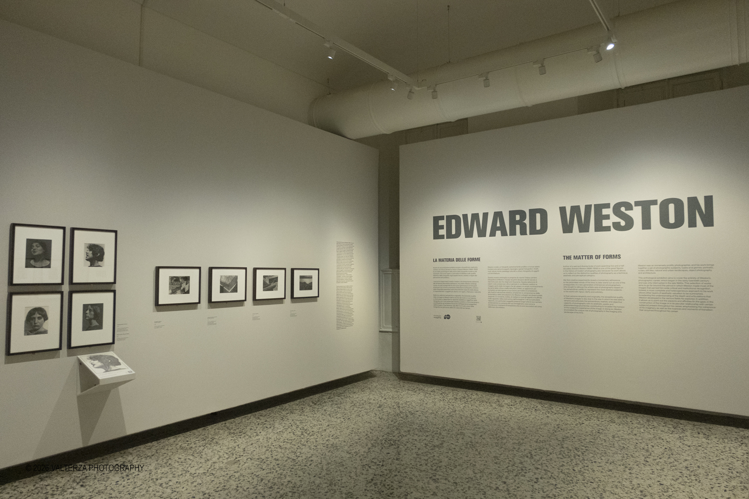 DSCF0939.jpg - 11/02/2026. Torino. CAMERA | EDWARD WESTON. La materia delle forme. Con una selezione di 171 immagini, molte delle quali vintage, il percorso espositivo â€“ curato da SÃ©rgio Mah â€“ si configura come unâ€™ampia antologia che ripercorre tutte le fasi della produzione di Edward Weston (Illinois, 1886 - California, 1958)  Nella foto la prima sala della mostra