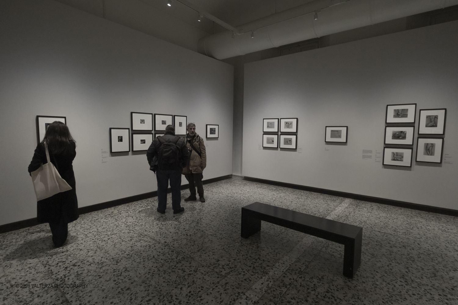 _DSF5468.jpg - 11/02/2026. Torino. CAMERA | EDWARD WESTON. La materia delle forme. Con una selezione di 171 immagini, molte delle quali vintage, il percorso espositivo â€“ curato da SÃ©rgio Mah â€“ si configura come unâ€™ampia antologia che ripercorre tutte le fasi della produzione di Edward Weston (Illinois, 1886 - California, 1958)  Nella foto in visita alla mostra