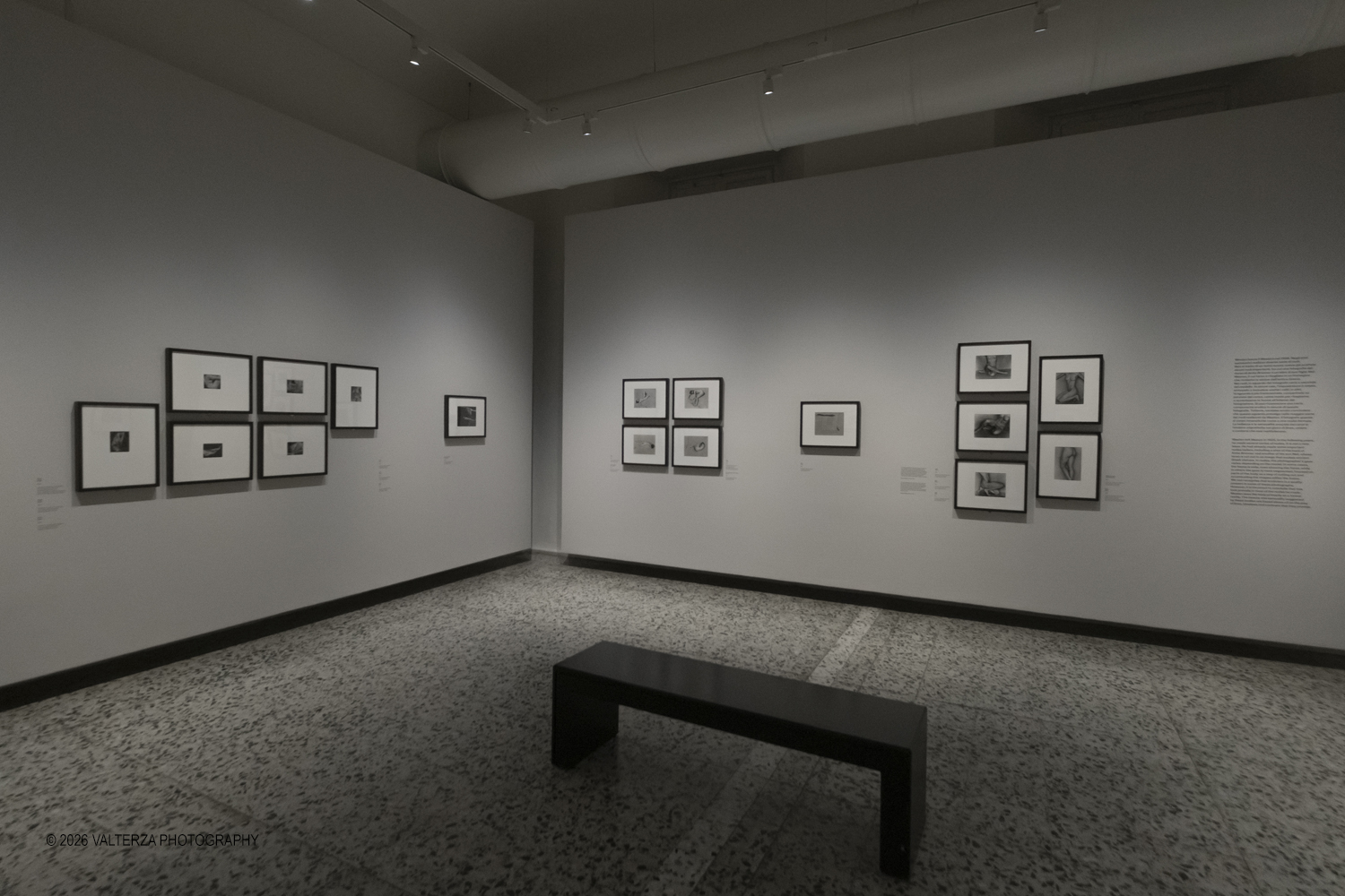 _DSF5471.jpg - 11/02/2026. Torino. CAMERA | EDWARD WESTON. La materia delle forme. Con una selezione di 171 immagini, molte delle quali vintage, il percorso espositivo â€“ curato da SÃ©rgio Mah â€“ si configura come unâ€™ampia antologia che ripercorre tutte le fasi della produzione di Edward Weston (Illinois, 1886 - California, 1958)  Nella foto parte dell'allestimento della mostra