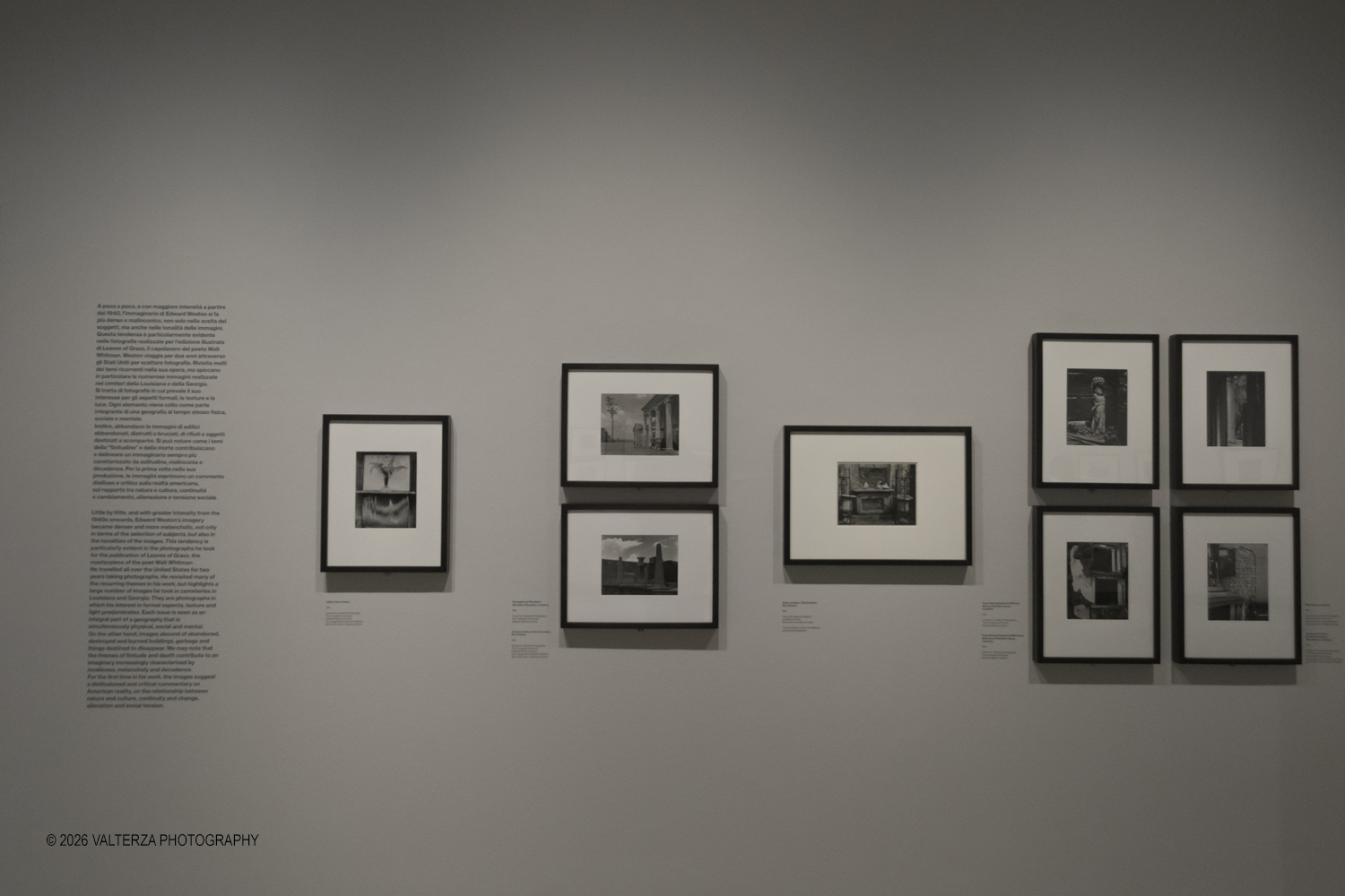 _DSF5526.jpg - 11/02/2026. Torino. CAMERA | EDWARD WESTON. La materia delle forme. Con una selezione di 171 immagini, molte delle quali vintage, il percorso espositivo â€“ curato da SÃ©rgio Mah â€“ si configura come unâ€™ampia antologia che ripercorre tutte le fasi della produzione di Edward Weston (Illinois, 1886 - California, 1958)  Nella foto parte dell'allestimento della mostra