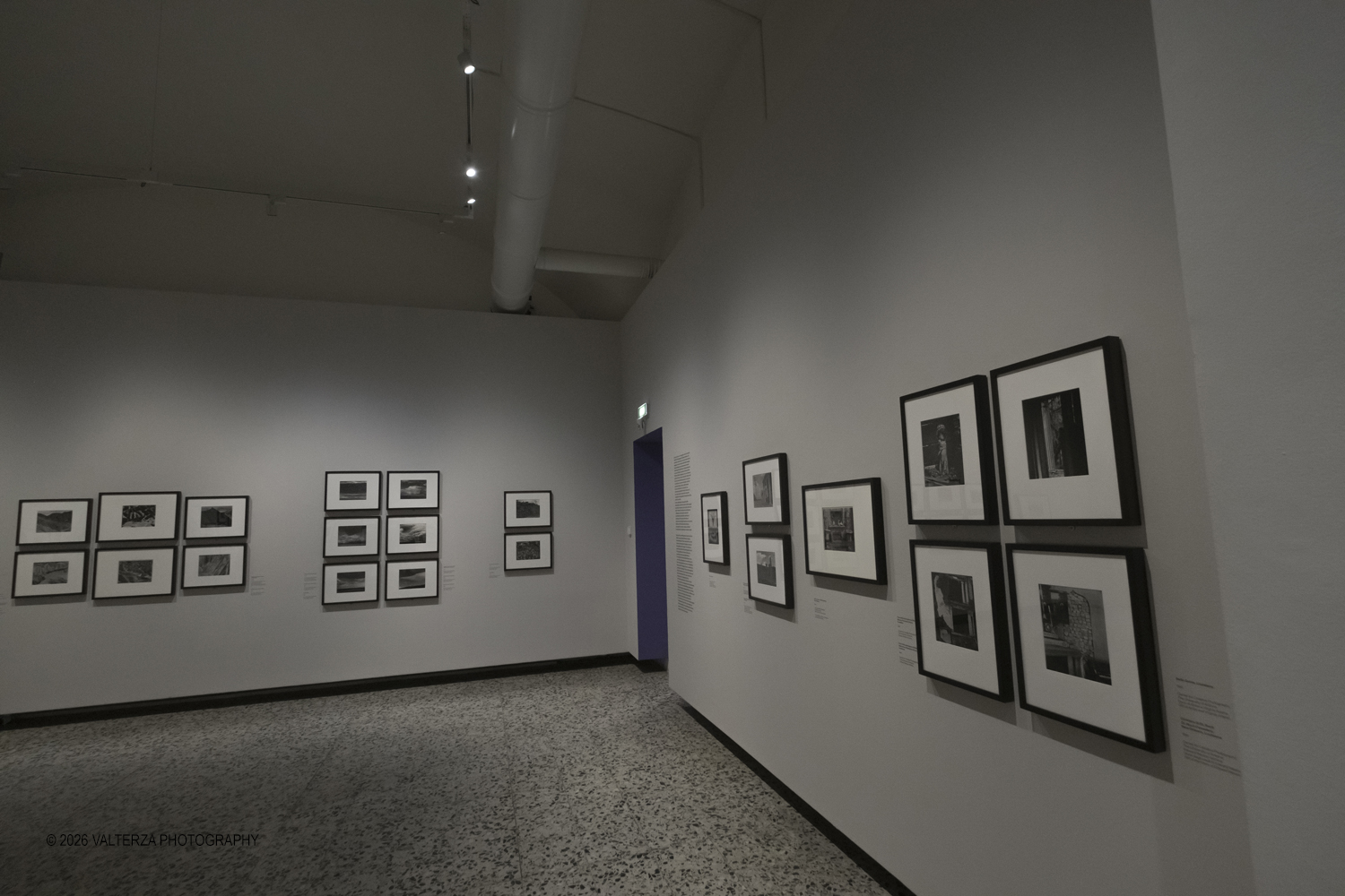 _DSF5548.jpg - 11/02/2026. Torino. CAMERA | EDWARD WESTON. La materia delle forme. Con una selezione di 171 immagini, molte delle quali vintage, il percorso espositivo â€“ curato da SÃ©rgio Mah â€“ si configura come unâ€™ampia antologia che ripercorre tutte le fasi della produzione di Edward Weston (Illinois, 1886 - California, 1958)  Nella foto parte dell'allestimento della mostra