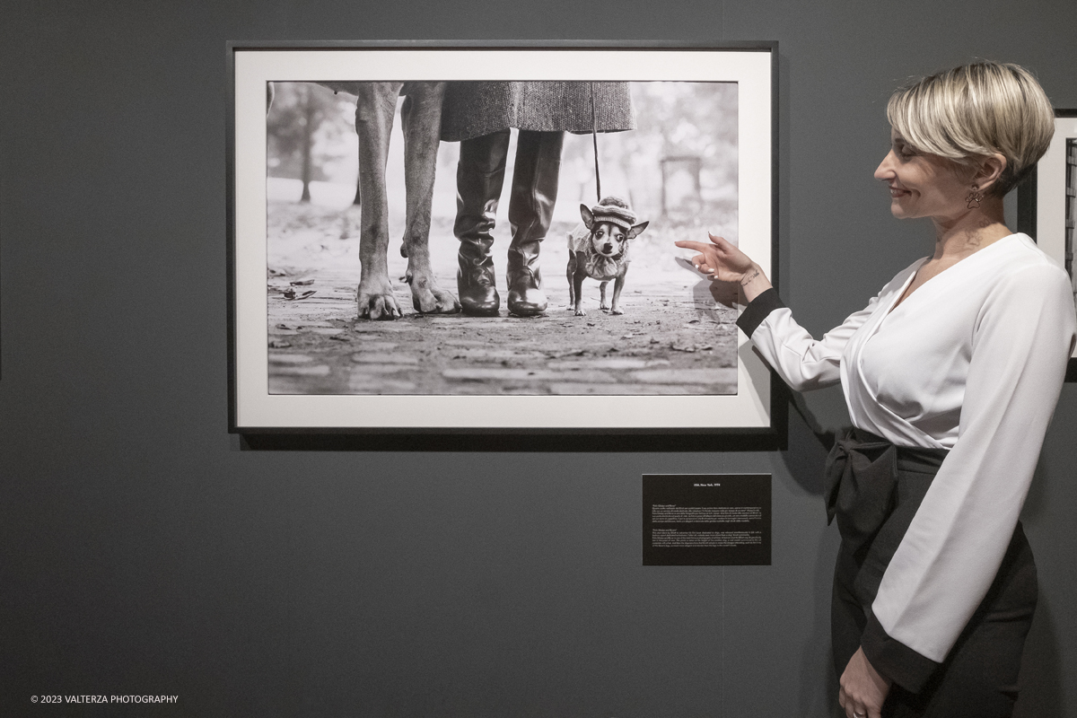 _DSF1385.jpg - 03/03/2023. Torino. In mostra le fotografie che nella lunghissima carriera di Erwitt meglio hanno descritto e rappresentato tutte le sfaccettature  dellâ€™essere famiglia. Nella foto USA, New York, 1974 l'immagine simbolo della mostra