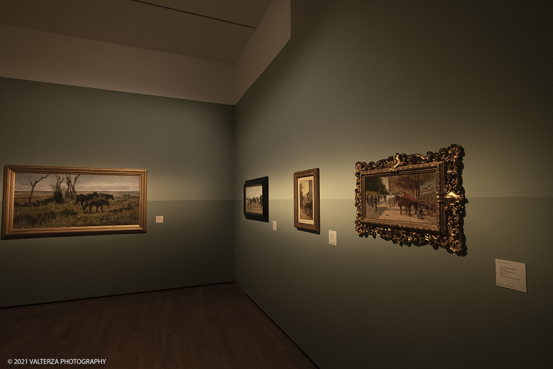 _DSF3145.jpg - 12/10/2021. Torino. Il percorso espositivo, della mostra alla GAM, presenta oltre 60 capolavori dellâ€™artista livornese , si articola in nove sezioni e copre un ampio arco cronologico che dal 1854 giunge al 1894, dalla sperimentazione macchiaiola e da opere capitali degli anni Sessanta e Settanta fino alle tele dellâ€™etÃ  matura, che ne rivelano lo sguardo acuto e innovatore, capace di aperture sullâ€™imminente â€™900.