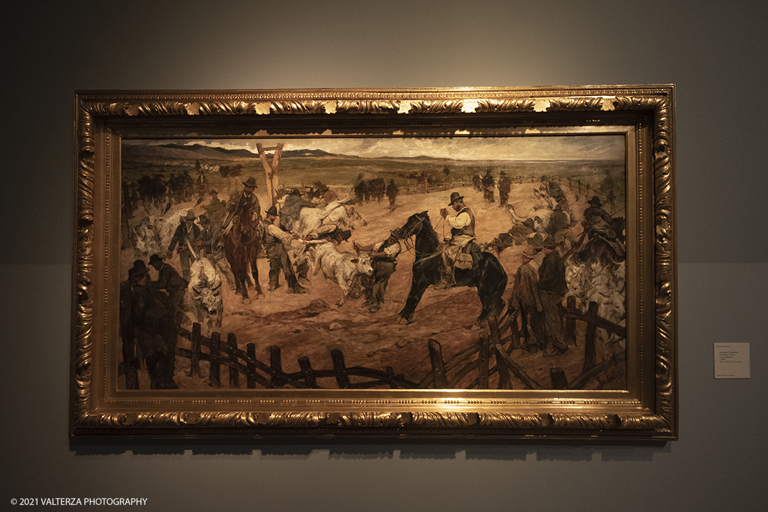 _DSF3210.jpg - 12/10/2021. Torino. Il percorso espositivo, della mostra alla GAM, presenta oltre 60 capolavori dellâ€™artista livornese , si articola in nove sezioni e copre un ampio arco cronologico che dal 1854 giunge al 1894, dalla sperimentazione macchiaiola e da opere capitali degli anni Sessanta e Settanta fino alle tele dellâ€™etÃ  matura, che ne rivelano lo sguardo acuto e innovatore, capace di aperture sullâ€™imminente â€™900. Opera La mena in Maremma