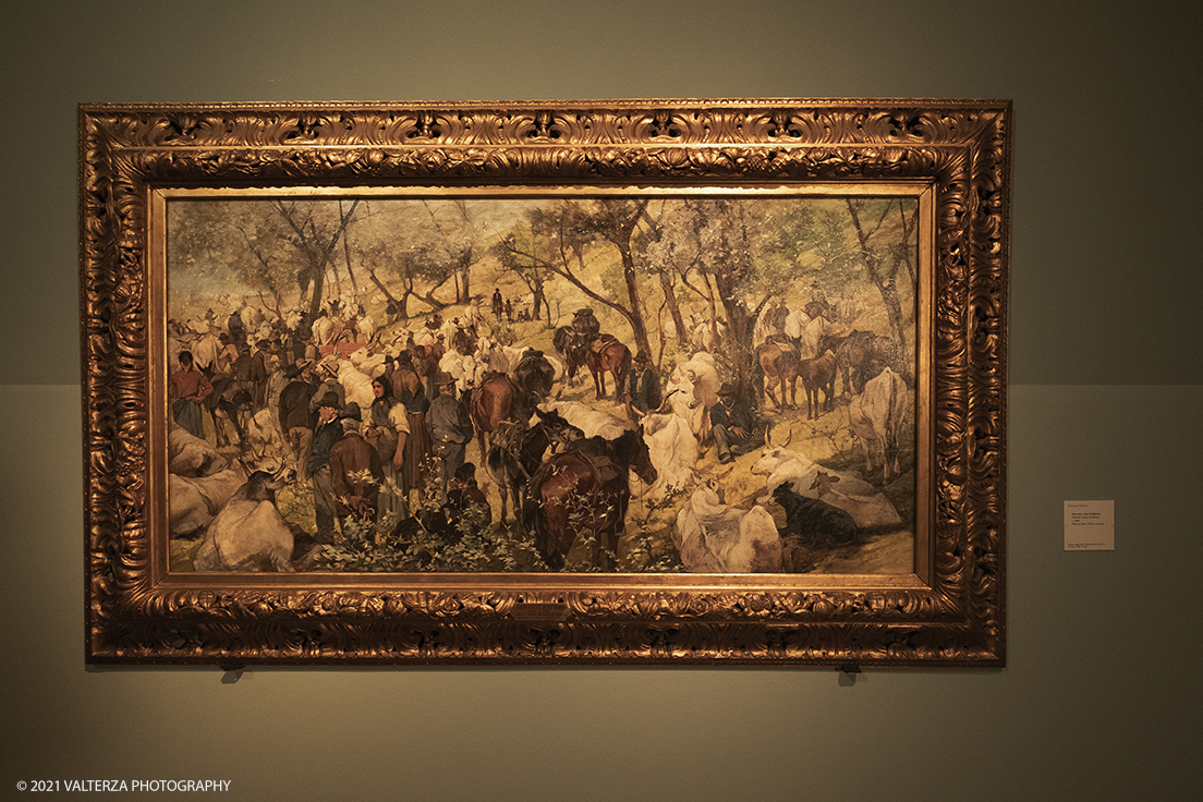 _DSF3223.jpg - 12/10/2021. Torino. Il percorso espositivo, della mostra alla GAM, presenta oltre 60 capolavori dellâ€™artista livornese , si articola in nove sezioni e copre un ampio arco cronologico che dal 1854 giunge al 1894, dalla sperimentazione macchiaiola e da opere capitali degli anni Sessanta e Settanta fino alle tele dellâ€™etÃ  matura, che ne rivelano lo sguardo acuto e innovatore, capace di aperture sullâ€™imminente â€™900.  Opera Mercato a San Godenzo