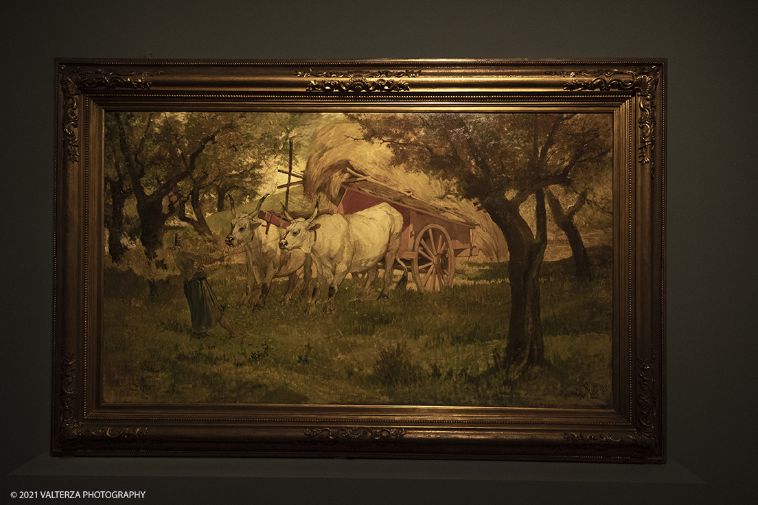 _DSF3227.jpg - 12/10/2021. Torino. Il percorso espositivo, della mostra alla GAM, presenta oltre 60 capolavori dellâ€™artista livornese , si articola in nove sezioni e copre un ampio arco cronologico che dal 1854 giunge al 1894, dalla sperimentazione macchiaiola e da opere capitali degli anni Sessanta e Settanta fino alle tele dellâ€™etÃ  matura, che ne rivelano lo sguardo acuto e innovatore, capace di aperture sullâ€™imminente â€™900.    Opera Buoi al carro