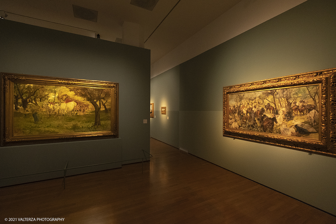 _DSF3248.jpg - 12/10/2021. Torino. Il percorso espositivo, della mostra alla GAM, presenta oltre 60 capolavori dellâ€™artista livornese , si articola in nove sezioni e copre un ampio arco cronologico che dal 1854 giunge al 1894, dalla sperimentazione macchiaiola e da opere capitali degli anni Sessanta e Settanta fino alle tele dellâ€™etÃ  matura, che ne rivelano lo sguardo acuto e innovatore, capace di aperture sullâ€™imminente â€™900.