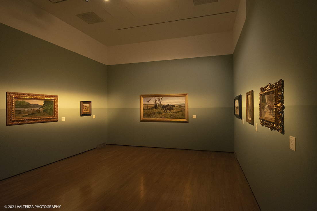 _DSF3315.jpg - 12/10/2021. Torino. Il percorso espositivo, della mostra alla GAM, presenta oltre 60 capolavori dellâ€™artista livornese , si articola in nove sezioni e copre un ampio arco cronologico che dal 1854 giunge al 1894, dalla sperimentazione macchiaiola e da opere capitali degli anni Sessanta e Settanta fino alle tele dellâ€™etÃ  matura, che ne rivelano lo sguardo acuto e innovatore, capace di aperture sullâ€™imminente â€™900.
