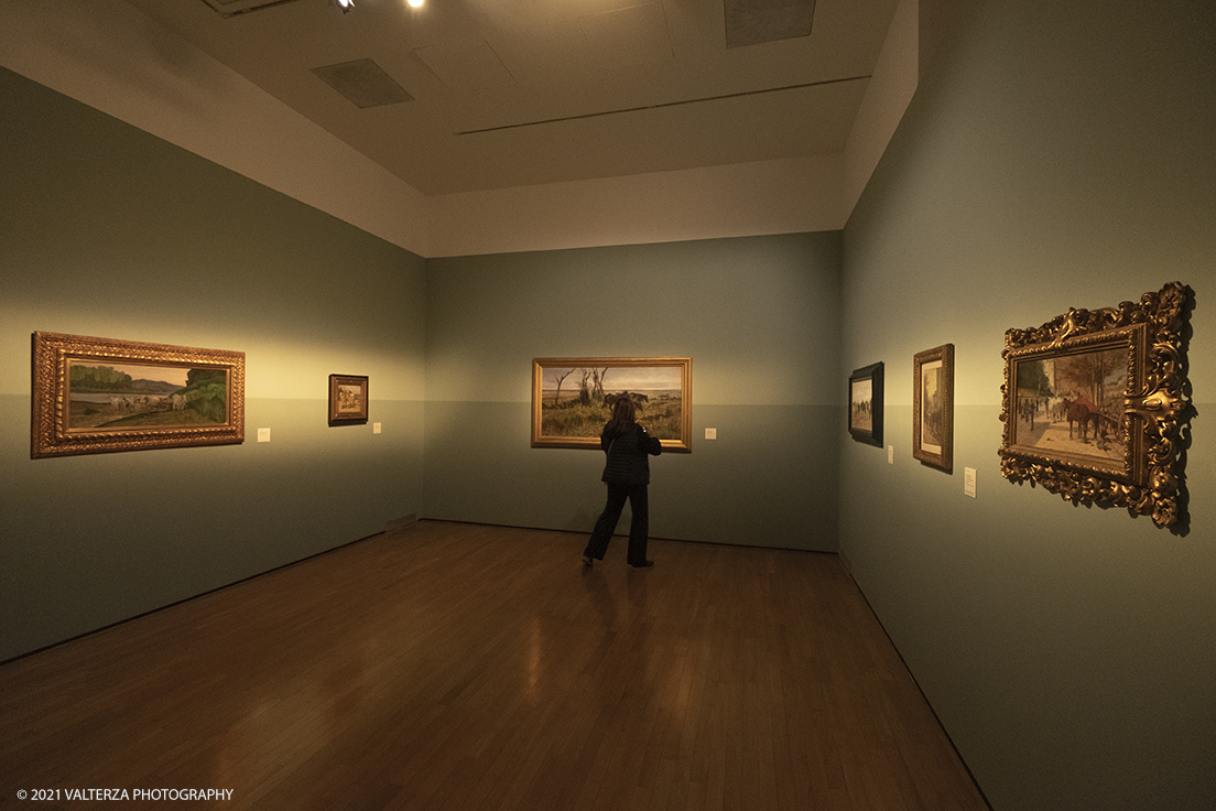 _DSF3375.jpg - 12/10/2021. Torino. Il percorso espositivo, della mostra alla GAM, presenta oltre 60 capolavori dellâ€™artista livornese , si articola in nove sezioni e copre un ampio arco cronologico che dal 1854 giunge al 1894, dalla sperimentazione macchiaiola e da opere capitali degli anni Sessanta e Settanta fino alle tele dellâ€™etÃ  matura, che ne rivelano lo sguardo acuto e innovatore, capace di aperture sullâ€™imminente â€™900.