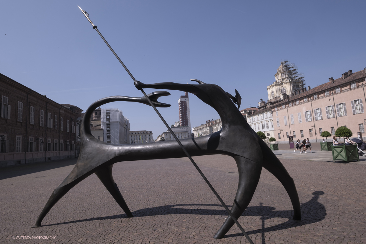 _DSF8108.jpg - 30-05-2025. Torino.  Giuseppe Maraniello, Mostra Asa Nisi Masa. Giuseppe Maraniello Asa Nisi Masa. Nella foto scultura della serie: Il gatto dorme rotondo