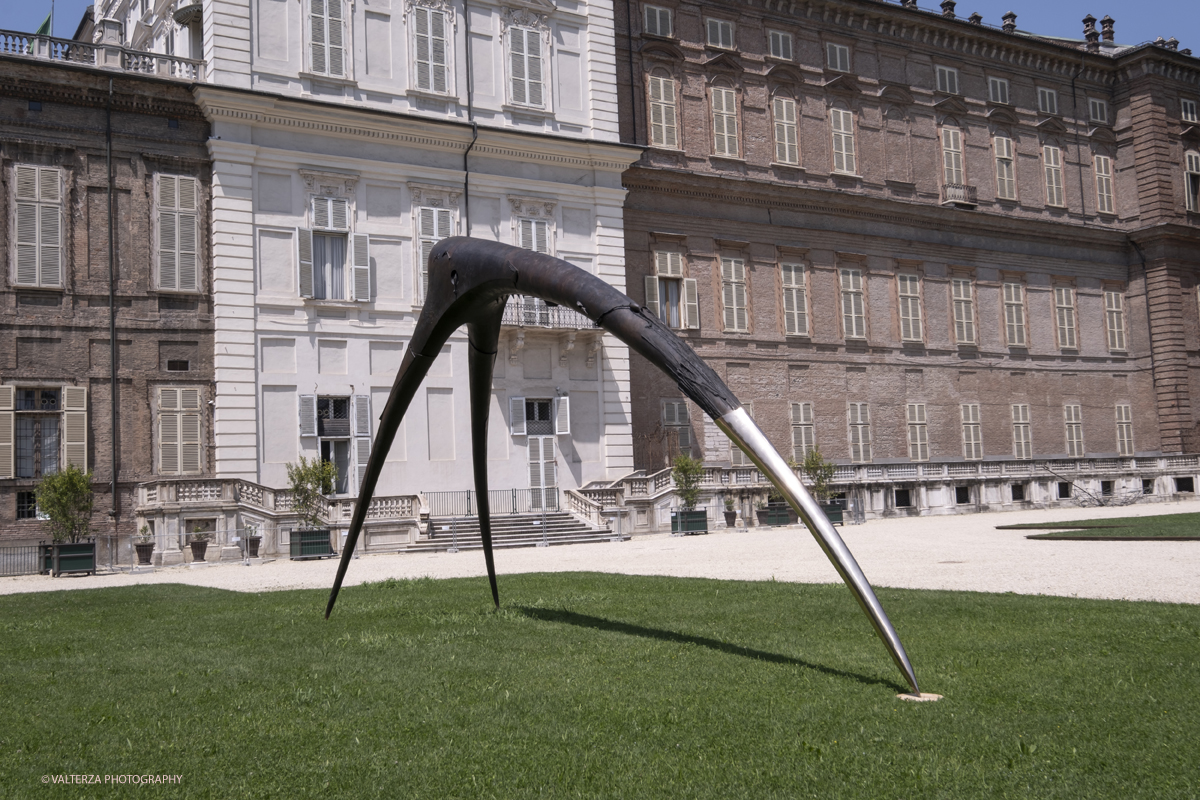 _DSF8287.jpg - 30-05-2025. Torino.  Giuseppe Maraniello, Mostra Asa Nisi Masa. Giuseppe Maraniello Asa Nisi Masa. Nella foto opera della serie Il gatto dorme rotondo