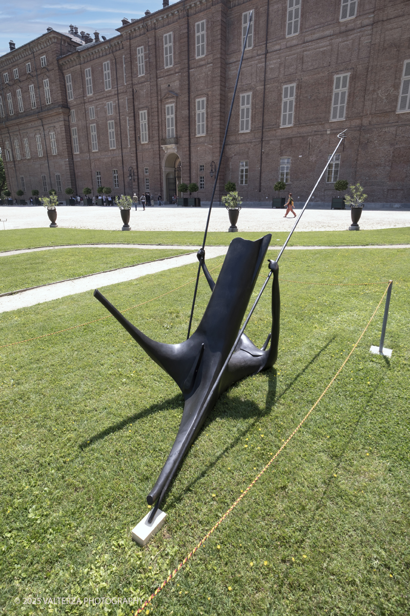 _DSF8323.jpg - 30-05-2025. Torino.  Giuseppe Maraniello, Mostra Asa Nisi Masa. Giuseppe Maraniello Asa Nisi Masa. Nella foto , centauri della mitologia greca che si combattono in un duello
