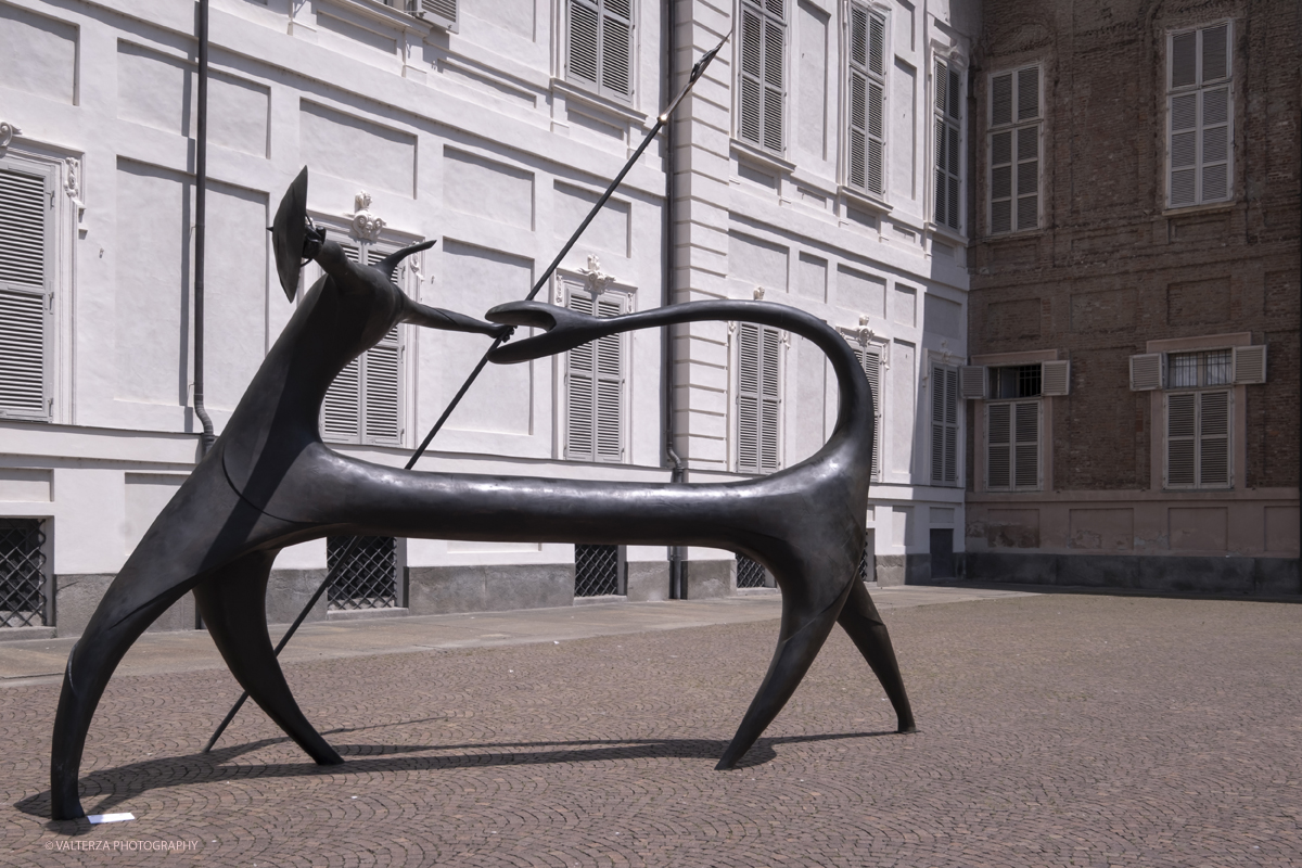 _DSF8362.jpg - 30-05-2025. Torino.  Giuseppe Maraniello, Mostra Asa Nisi Masa. Giuseppe Maraniello Asa Nisi Masa. Nella foto scultura della serie: Il gatto dorme rotondo