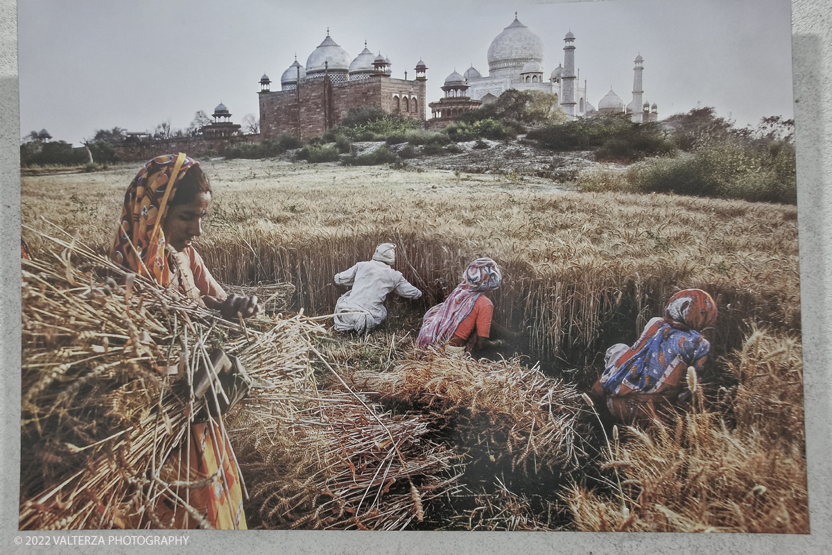 20220817_175609.jpg - 17/0872022. Ventimiglia. Qui abbiamo il cibo come leitmotiv della mostra, inteso come espressione diretta di culture e territori diversi, in declinazioni che documentano la vita quotidiana di popolazioni lontane, illustrando scene di pesca, di agricoltura, di commerci, di trasporti, in ciascuna foto Steve McCurry riesce sempre a cogliere, secondo le sue intenzioni, â€œqualcosa di insolito e di unicoâ€�.