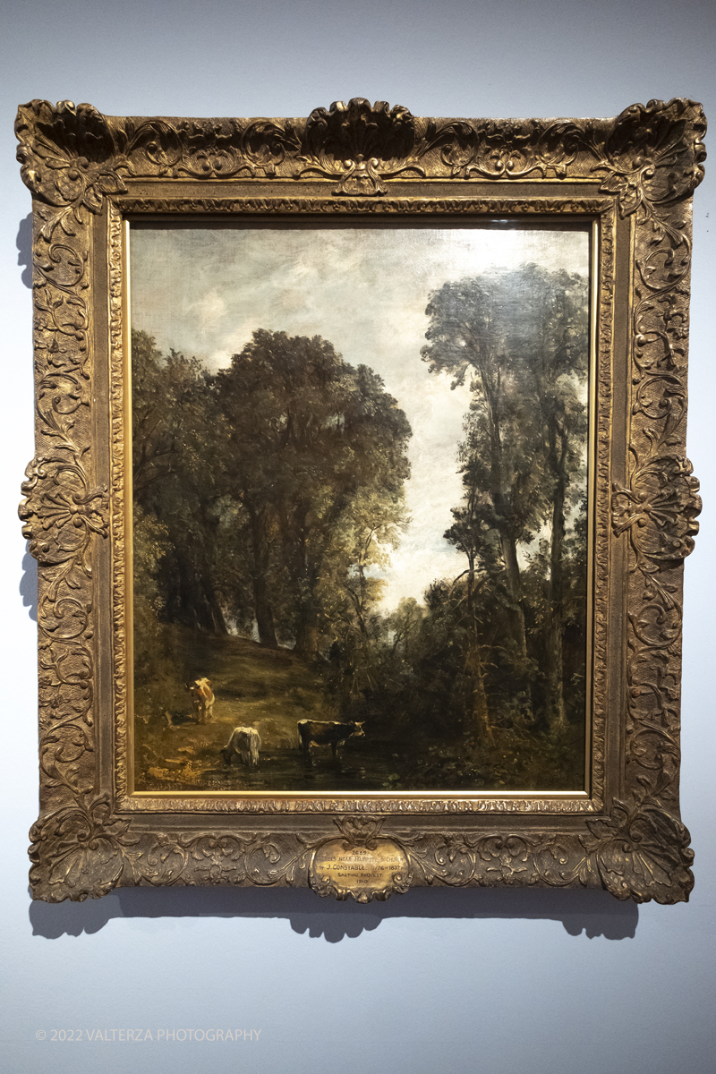 _DSF4028.jpg - 24/10/2022 .Torino. Per la prima volta in Italia una mostra dedicata al celebre artista John Constable: oltre cinquanta opere, provenienti dalla Tate UK, ripercorrono cronologicamente la vicenda artistica del pittore, tra i massimi esponenti della pittura romantica inglese. Nella foto John Constable Alberi a Hampstead, 1829