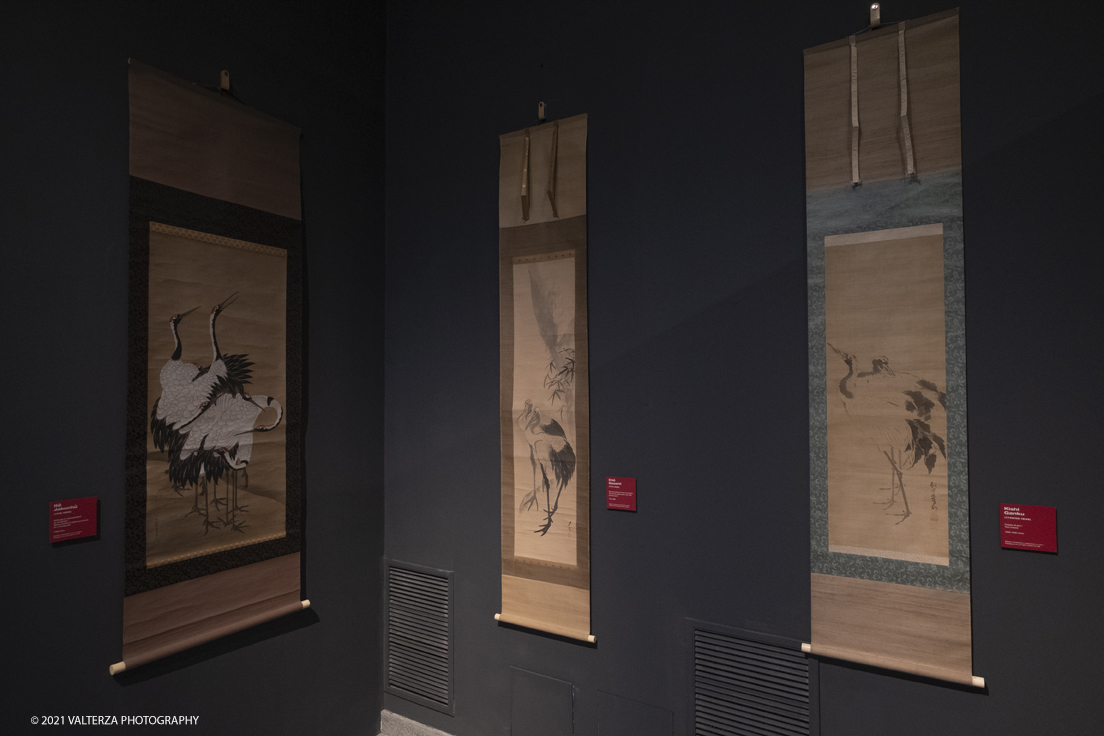 _DSF9229-2.jpg - 11/11/2021. Torino. La mostra al Mao Kakemono Ã¨ la prima in Italia focalizzata su questa forma d'arte. Presenta 125 kakemono oltre a ventagli dipinti e lacche decorate appartenenti alla collezione Claudio Perino. Nella foto kakemono della sezione fiori ed uccelli