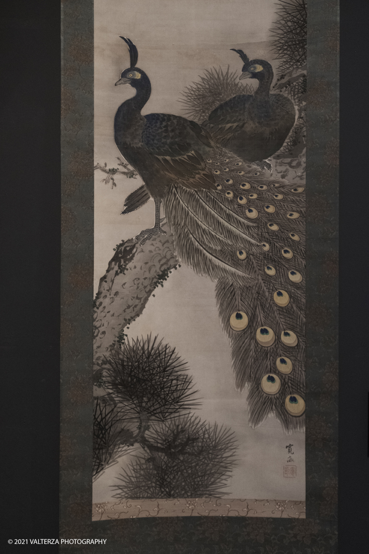 _DSF9570.jpg - 11/11/2021. Torino. La mostra al Mao Kakemono Ã¨ la prima in Italia focalizzata su questa forma d'arte. Presenta 125 kakemono oltre a ventagli dipinti e lacche decorate appartenenti alla collezione Claudio Perino. Nella foto kakemono dedicato al tema degli uccelli. Particolare