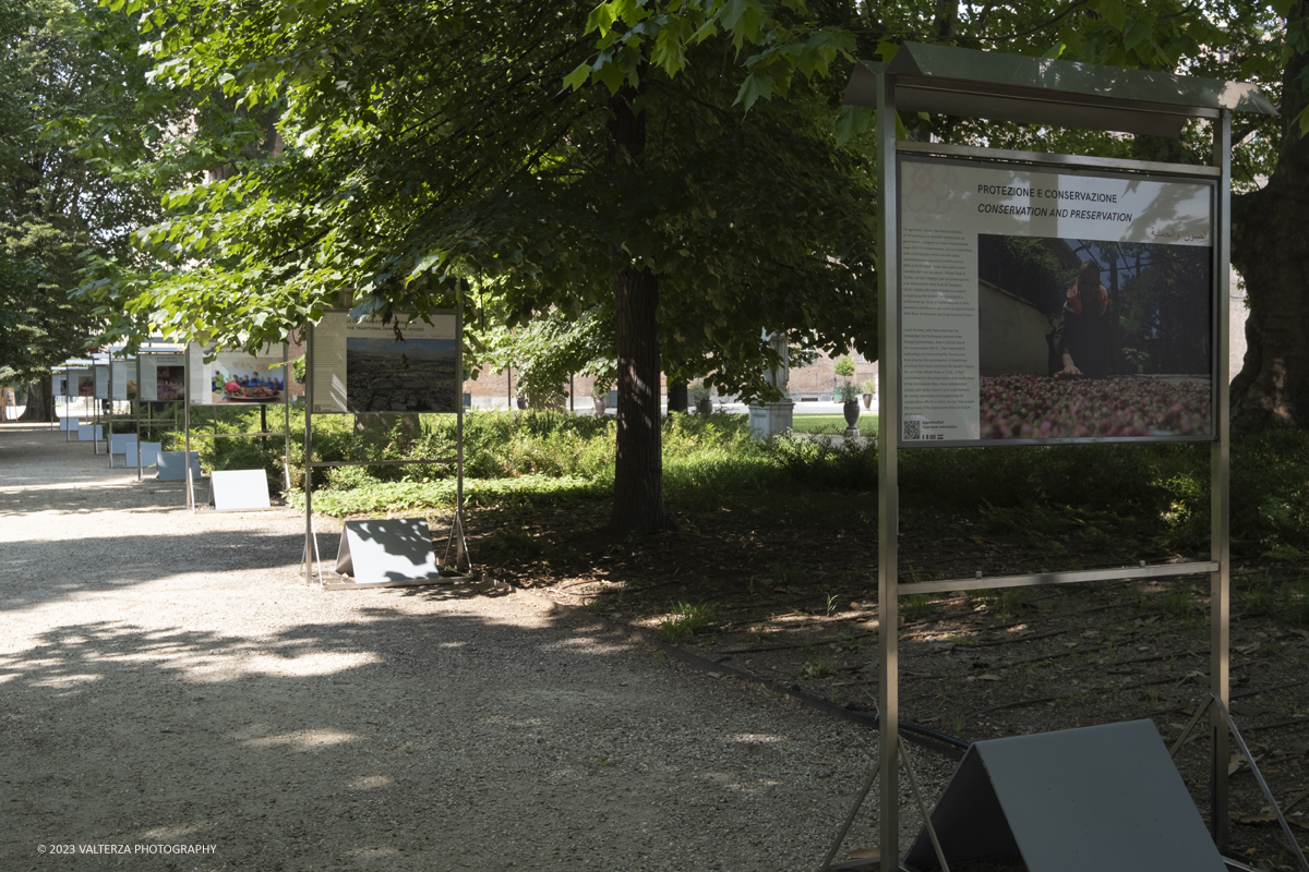 _DSF6610.jpg - 04/07/2023. Torino. Una mostra fotografica, unâ€™installazione artistica e un programma di eventi promuovono il patrimonio culturale siriano attraverso la conoscenza della secolare coltivazione e trasformazione del fiore, Patrimonio Immateriale dellâ€™UmanitÃ  UNESCO. Nella foto parti di installazione della mostra nel boschetto dei Giardini Reali