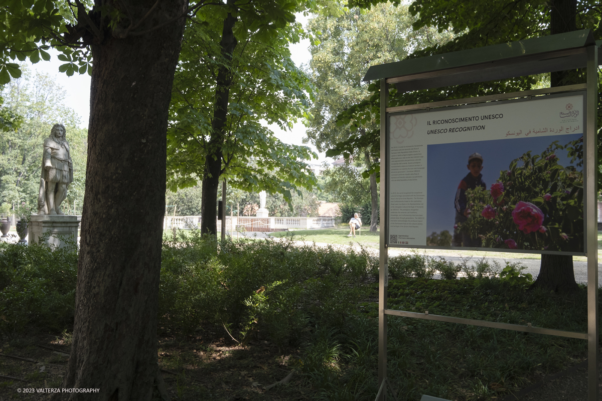 _DSF6618.jpg - 04/07/2023. Torino. Una mostra fotografica, unâ€™installazione artistica e un programma di eventi promuovono il patrimonio culturale siriano attraverso la conoscenza della secolare coltivazione e trasformazione del fiore, Patrimonio Immateriale dellâ€™UmanitÃ  UNESCO. Nella foto parti di installazione della mostra nel boschetto dei Giardini Reali